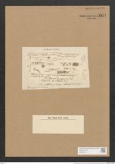 Schizonema tenne Ag. (de-Toni-Nr.: Genus 20, Species 1205) Zeichnungen Sammlung Grunow Nr. 2313 (NHMW-BOT-W0369436)
